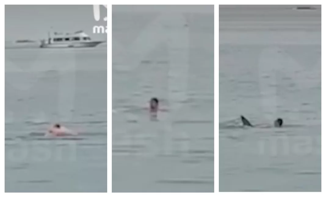 Un tânăr rus a fost mâncat de un rechin în Marea Roșie