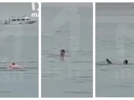 Un tânăr rus a fost mâncat de un rechin în Marea Roșie