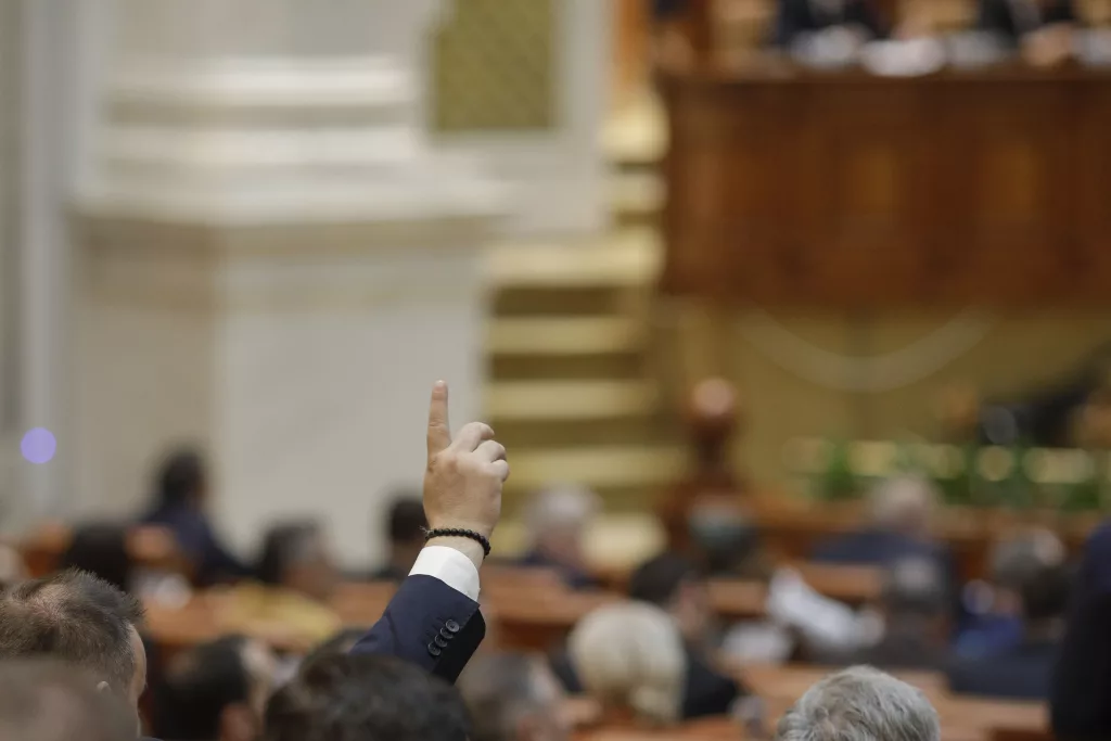 Deputaţii au votat proiectul de lege care garantează dreptul la avort