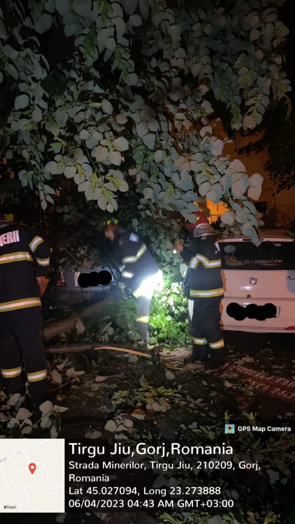 Un copac a căzut peste 3 mașini la Târgu Jiu