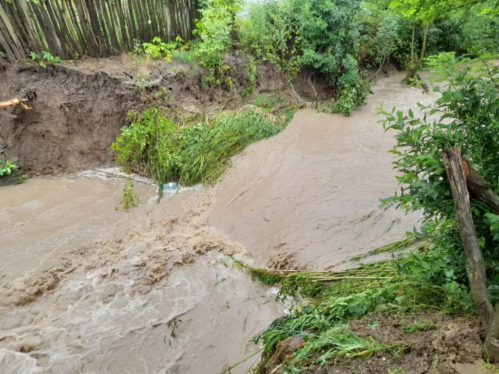 (VIDEO) Ploile fac ravagii în Dolj