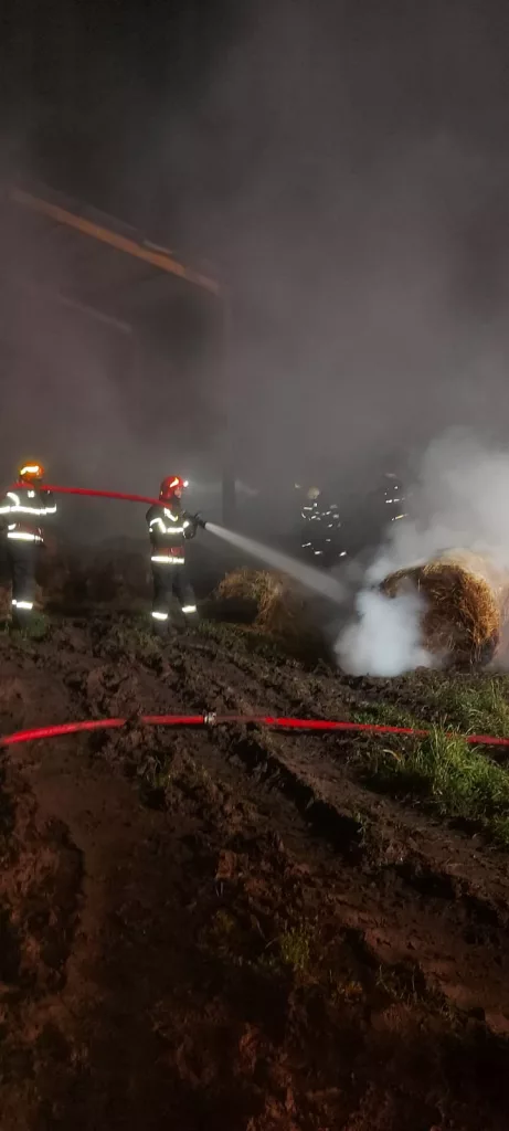 Incendiu plante furajere în Şimnicu de Jos