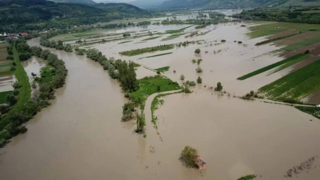 Dolj: Peste 200 de case şi mii de metri pătraţi de terenuri cultivate cu legume, afectate de inundaţii