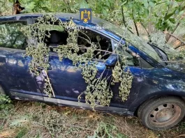 Un bărbat fără permis a accidentat un copil, și-a ascuns mașina în pădure și a fugit