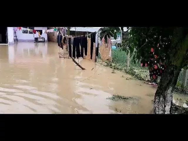 Gospodării inundate în Drăgășani