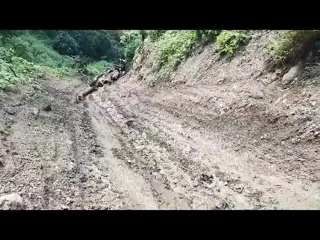 Gorj: Amendat pentru că transporta bușteni prin albia unui afluent al râului Sohodol