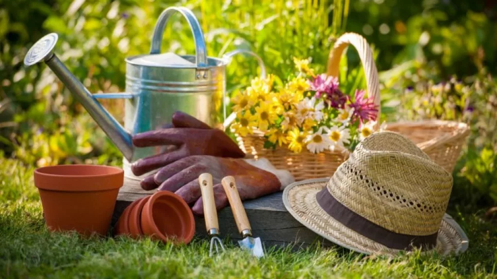 Sfaturi esențiale pentru grădinari începători