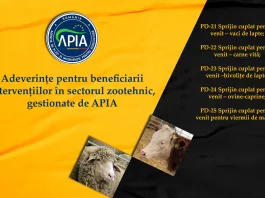 APIA eliberează adeverințe crescătorilor de animale care doresc să acceseze credite