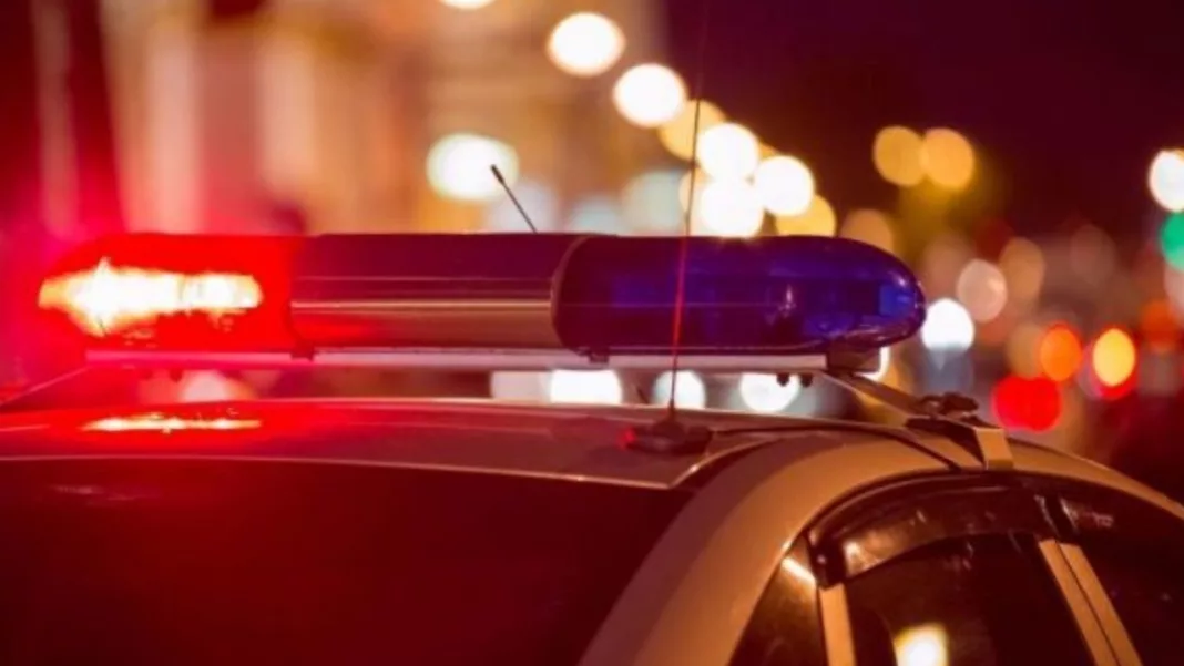 Bărbat ucis cu o lovitură în cap de propriul fiu