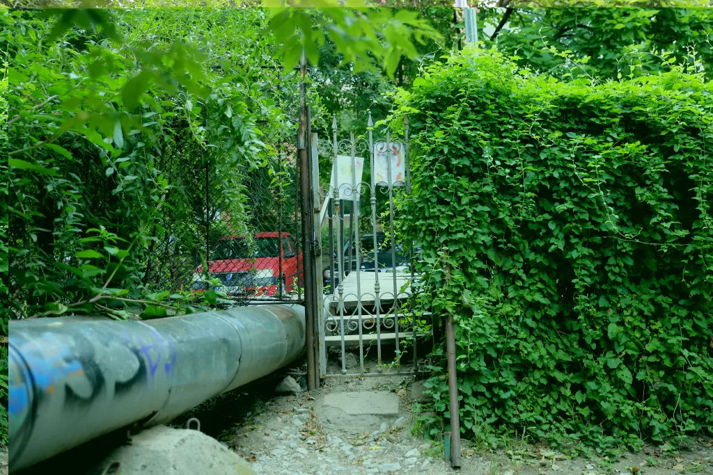 Cazul crimei din Botanică: Porţi laterale blocate, camere video lipsă şi o patrulă…în pauză