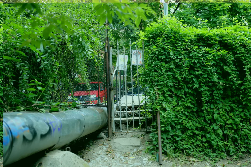 Craiovenii nu mai pot intra în Grădina Botanică pe porţile laterale