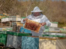 APIA primește Cereri de plată pentru intervenţiile aferente sectorului apicol 2023