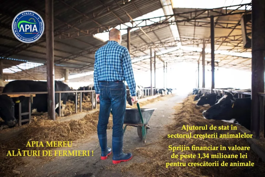 APIA primește cereri de solicitare a ajutorului de stat în sectorul creşterii animalelor