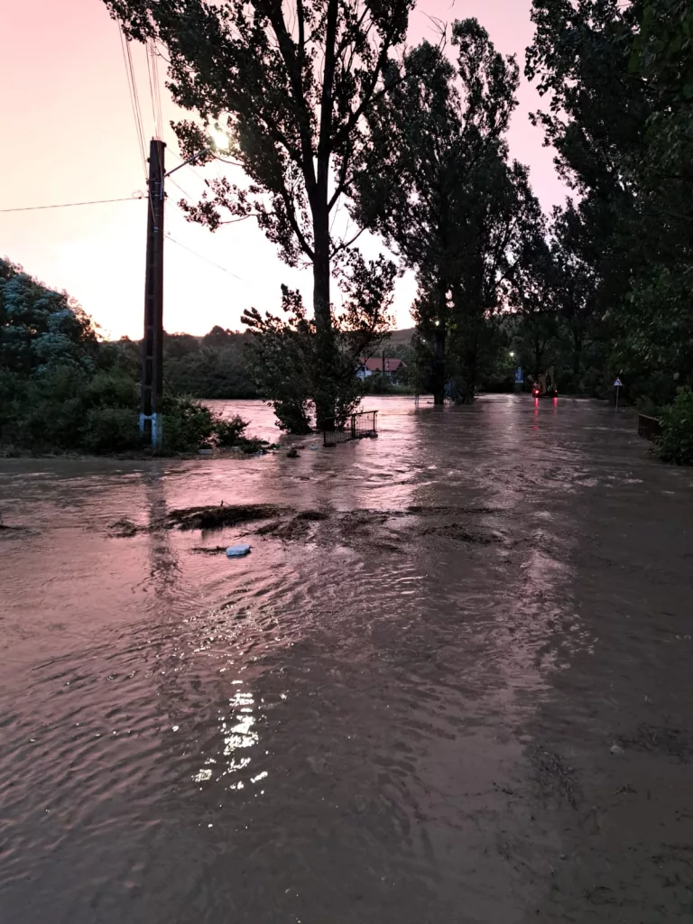 (VIDEO) Trei comune doljene, afectate de viituri