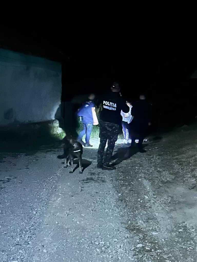 (VIDEO) Gorj: Zeci de polițiști, jandarmi și voluntari caută un bătrân dispărut de acasă