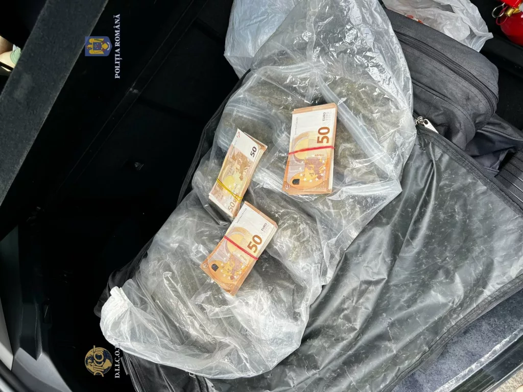 Doljean prins în timp ce vindea 7 kg de canabis, la judecată