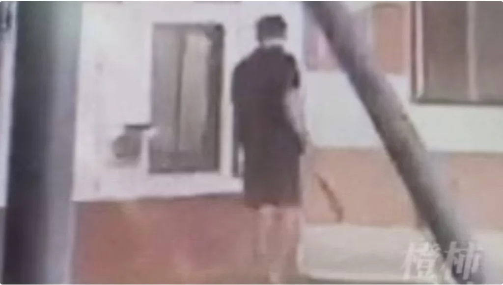 China: Şase persoane au murit și una a fost rănită în urma unui atac la o grădiniță