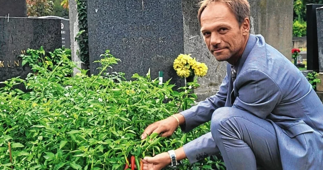 Un cimitir din Austria închiriază morminte abandonate pentru grădinărit