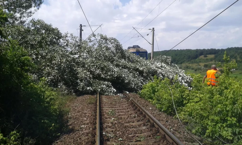 Trenuri cu întârzieri de sute de minute din cauza copacilor căzuți pe liniile de cale ferată