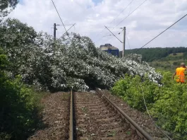 Trenuri cu întârzieri de sute de minute din cauza copacilor căzuți pe liniile de cale ferată