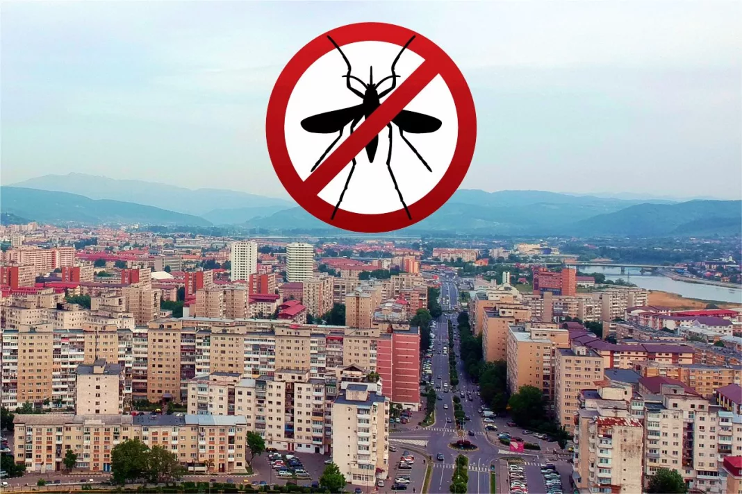 Miercuri seara începe prima etapă a dezinsecției în Râmnicu Vâlcea