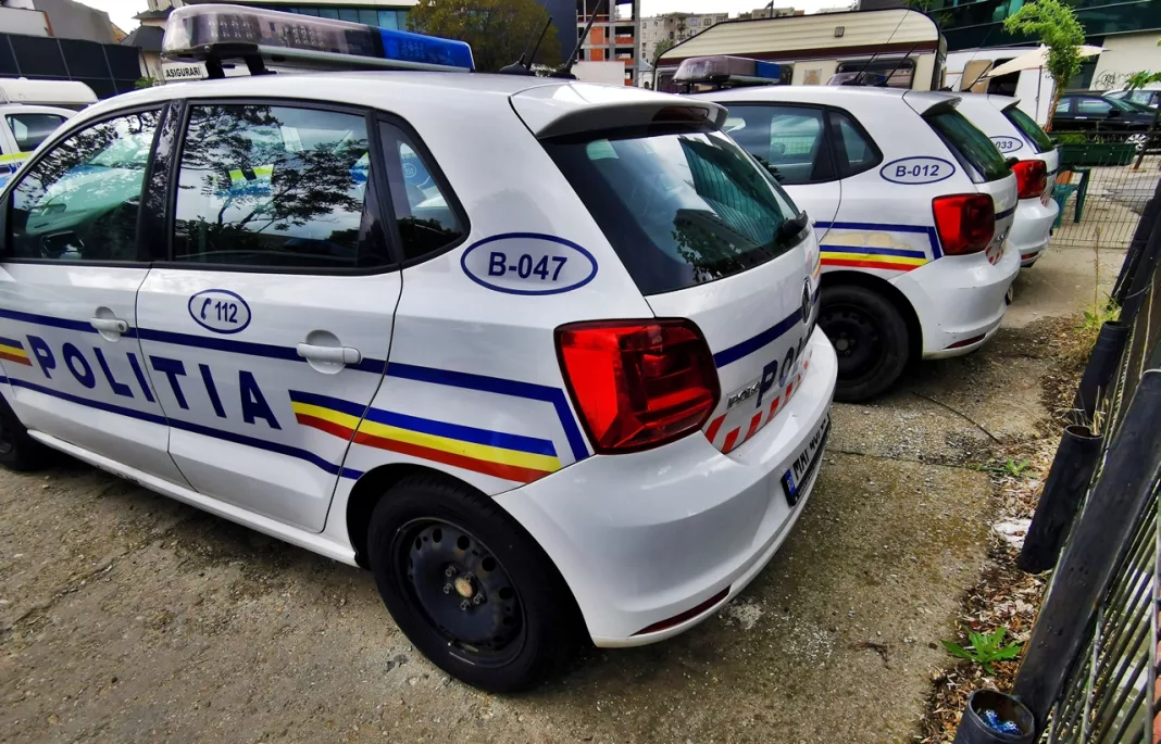 O avocată a cumpărat arme pentru copiii ei minori. Cel mare le folosea pentru a împușca păsări