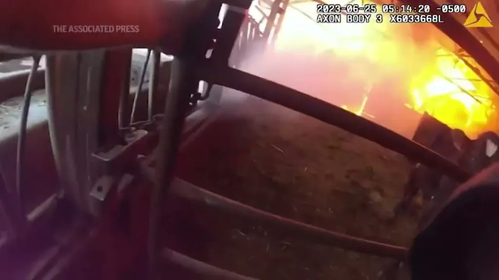 (VIDEO) Poliţist erou. A salvat trei văcuţe dintr-un incendiu