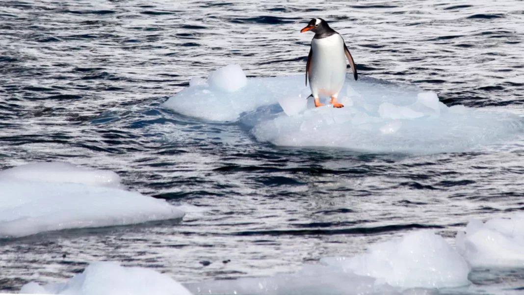 Record de temperatură la Polul Sud. A fost cu 30 de grade mai cald decât în medie