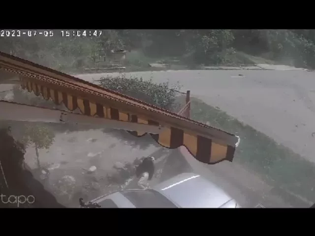 (VIDEO) Gorj: O minoră de 15 ani a rupt un stâlp de curent cu mașina