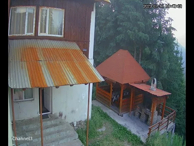 (VIDEO) Un urs a intrat într-o cabană din Rânca