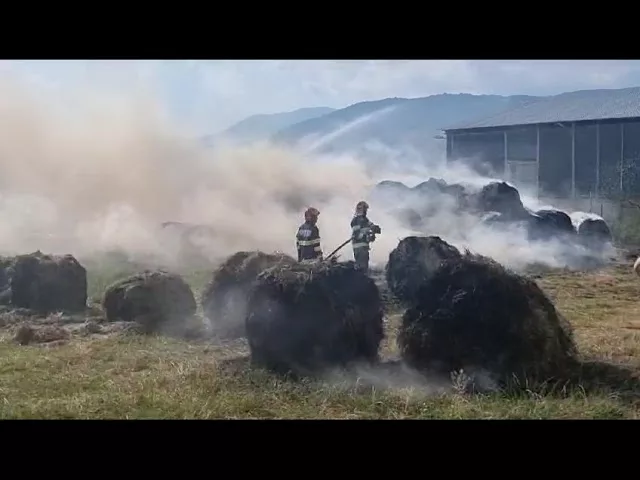 (VIDEO) Incendiu la un depozit de furaje din Lelești