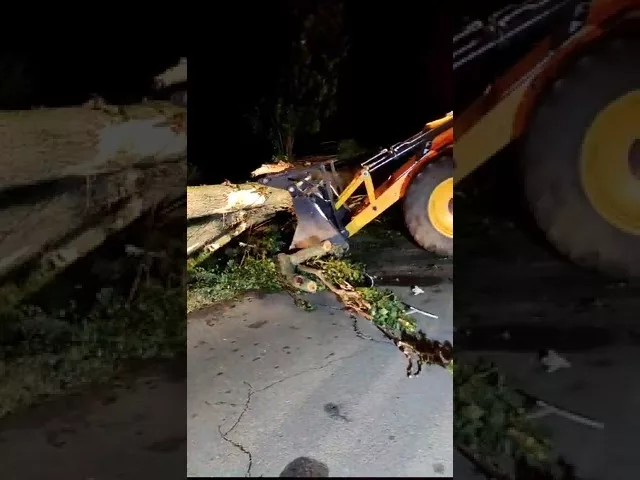 (VIDEO) Dolj: Două persoane, la spital și mai mulți copaci căzuți, după furtuna de azi noapte