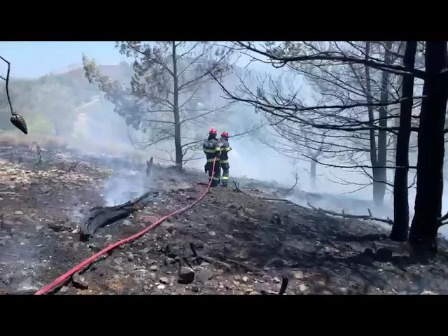 (VIDEO) Pompierii români, salvatorii din infernul elen