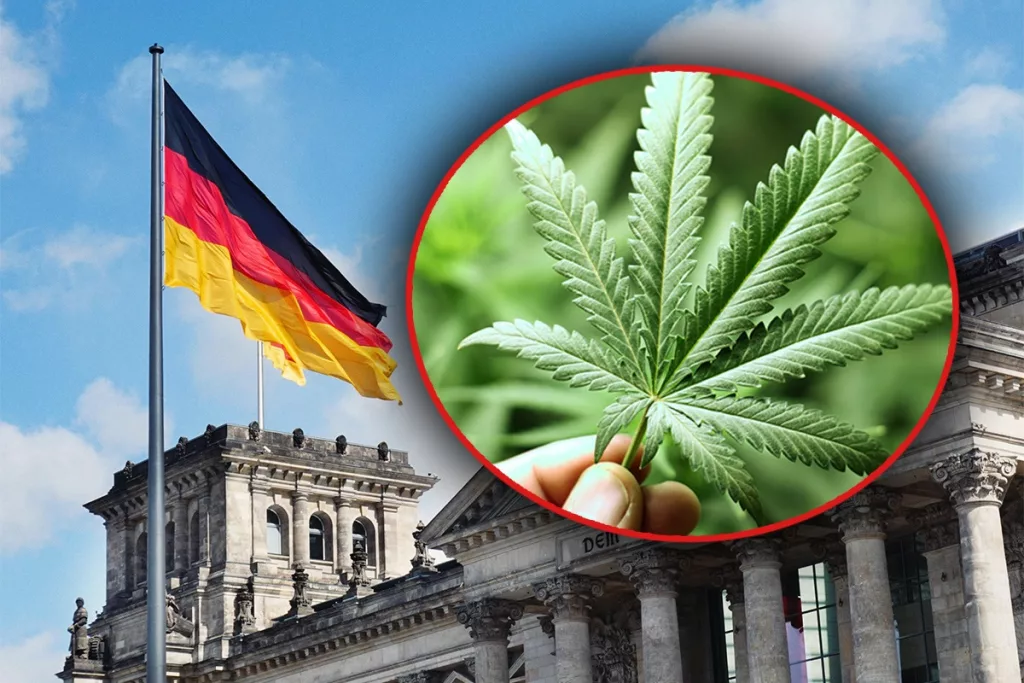 Germania, undă verde legalizării canabisului în scop recreativ