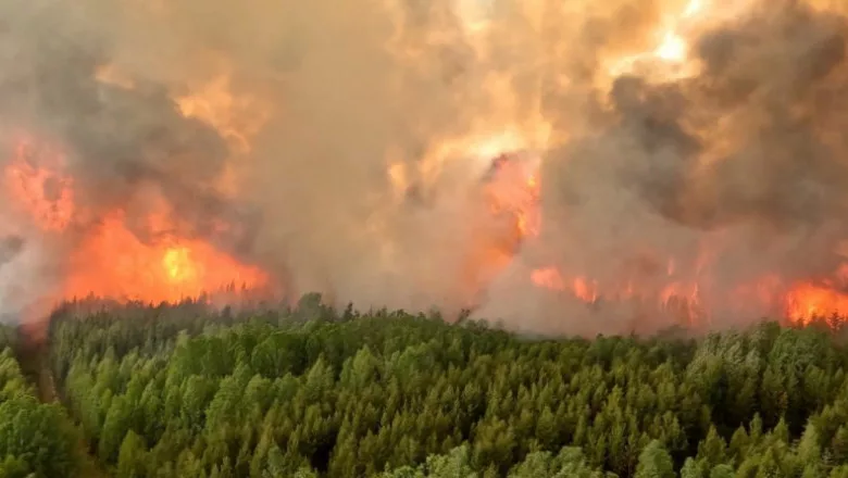 Incendii din Canada sunt de o intensitate rară (Foto: digi24.ro)