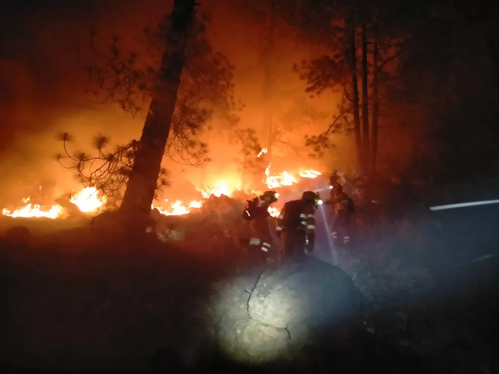 Parcul naţional din Tenerife, devastat de incendii de vegetaţie