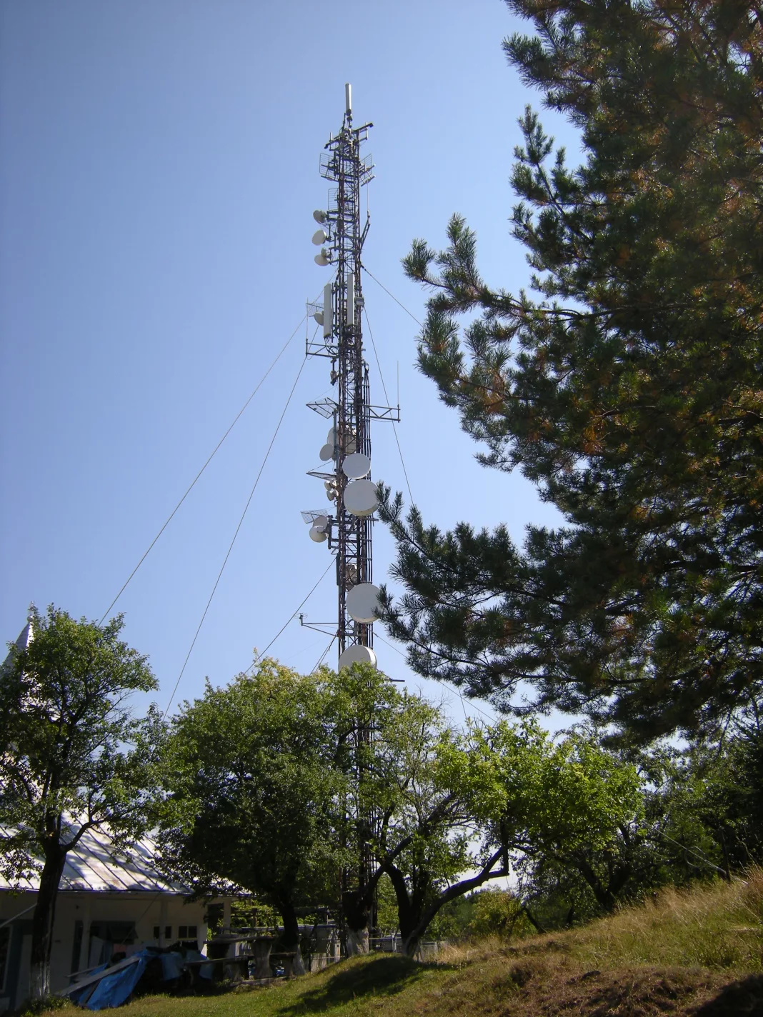 Un bărbat a murit după ce a căzut de pe o antenă releu (Foto: Wikipedia)