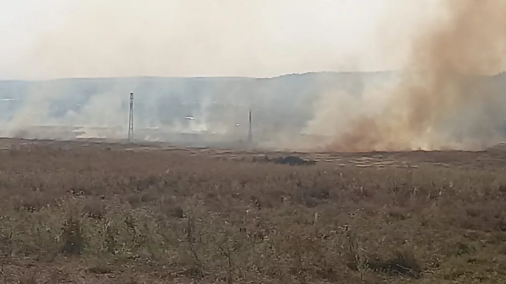 (VIDEO)Târgu Jiu: A luat foc vegetația uscată din cartierul Narciselor