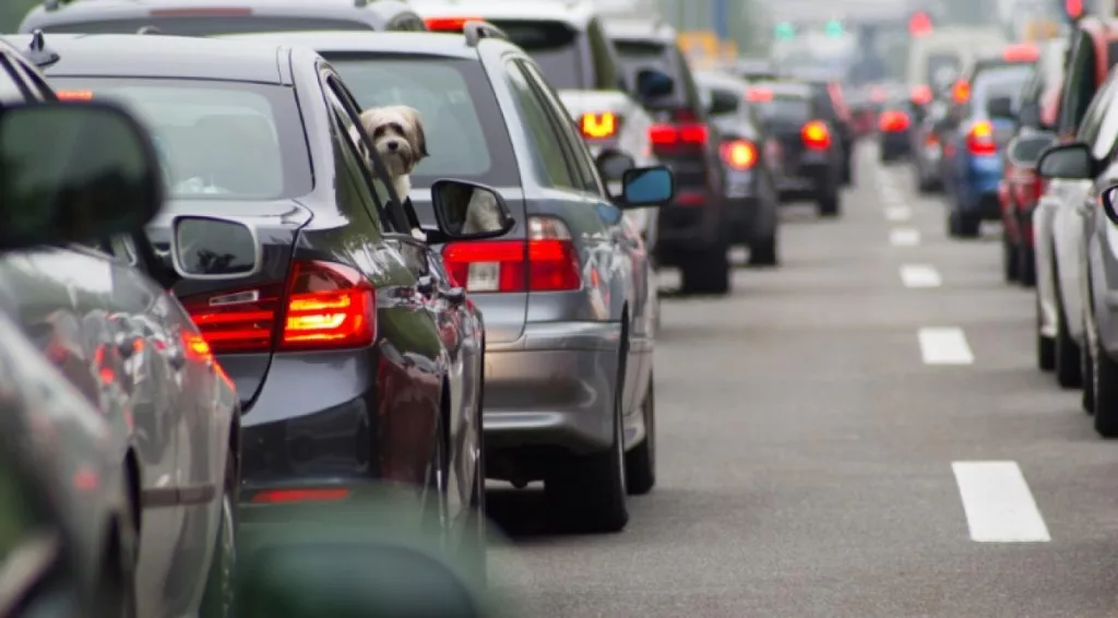  Circulaţie îngreunată pe A1 Bucureşti – Piteşti