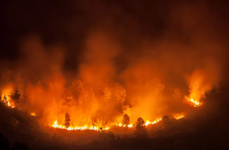 Incendii devastatoare în Grecia