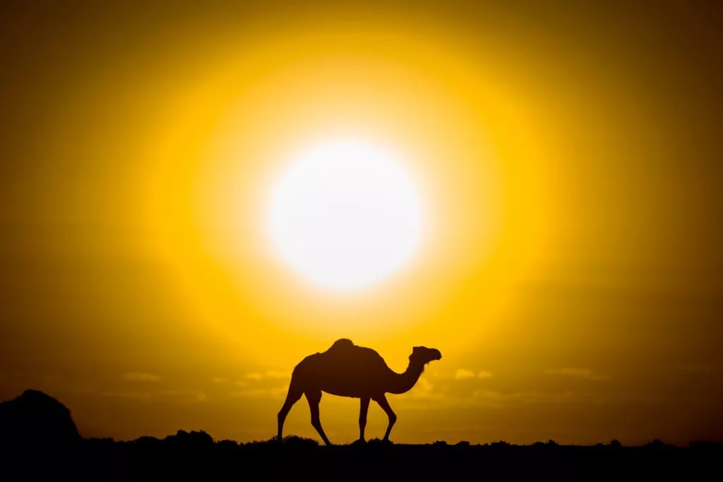 Temperaturi record în Maroc: 50 de grade Celsius!