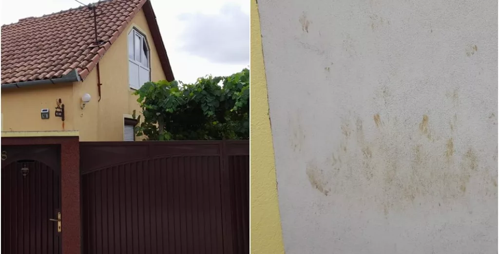 A înjunghiat-o pe soția șefului său, apoi s-a sinucis