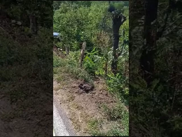 (VIDEO) Mehedinți: Un arădean băut a ieșit cu mașina în decor