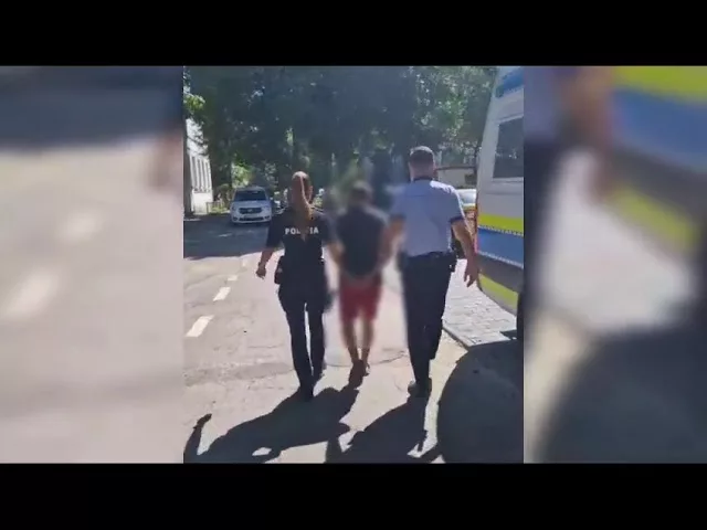 (VIDEO) Doljean reținut pentru furt calificat