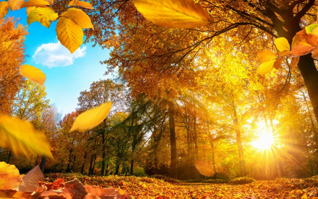 Temperaturi mai ridicate decât cele normale până la finalul lui octombrie