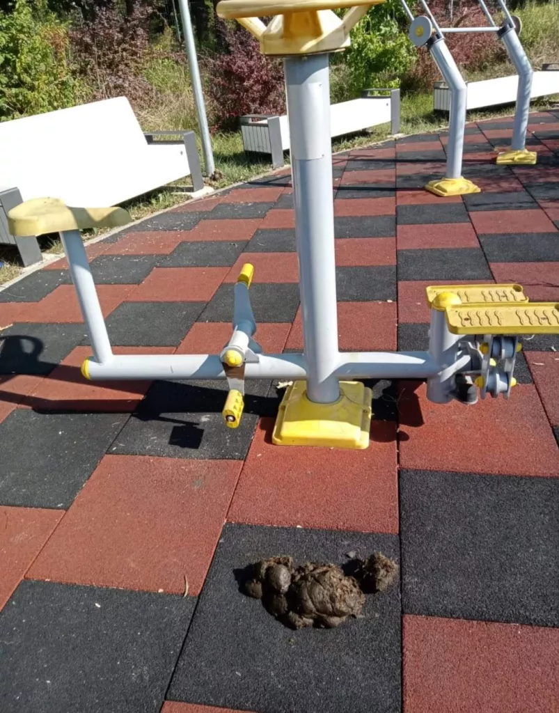 Gorj: Parcul din Tismana, vandalizat cu toporul
