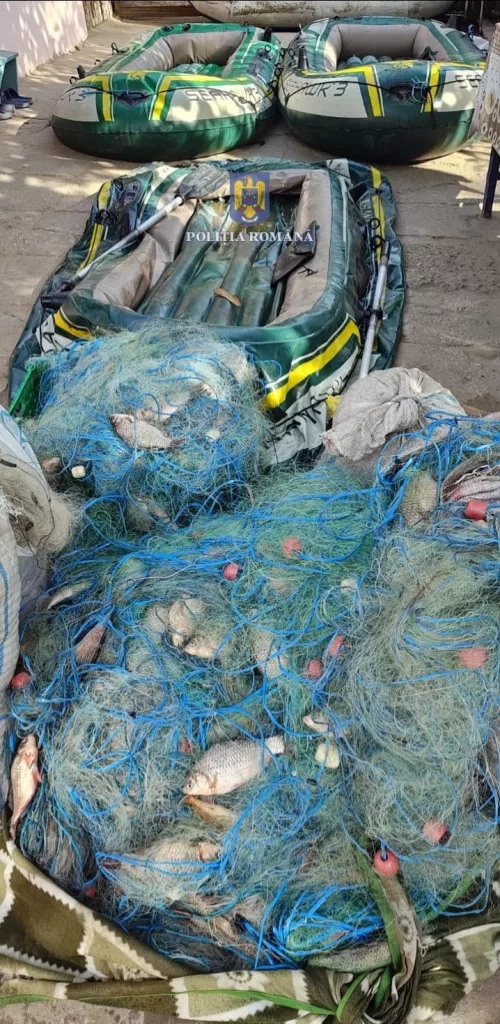 Dolj: Mii de metri de plase monofilament, confiscate
