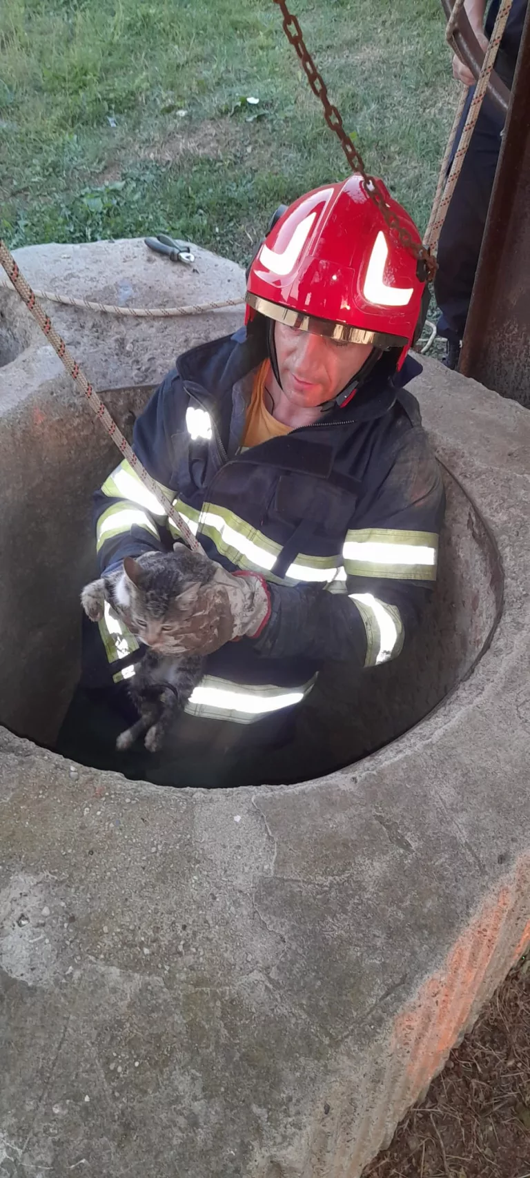 (VIDEO) 𝐏𝐨𝐦𝐩𝐢𝐞𝐫𝐢𝐢 𝐦𝐞𝐡𝐞𝐝𝐢𝐧𝐭̦𝐞𝐧𝐢, 𝐬𝐚𝐥𝐯𝐚𝐭𝐨𝐫𝐢 𝐝𝐞 𝐬𝐮𝐟𝐥𝐞𝐭𝐞 𝐧𝐞𝐯𝐢𝐧𝐨𝐯𝐚𝐭𝐞
