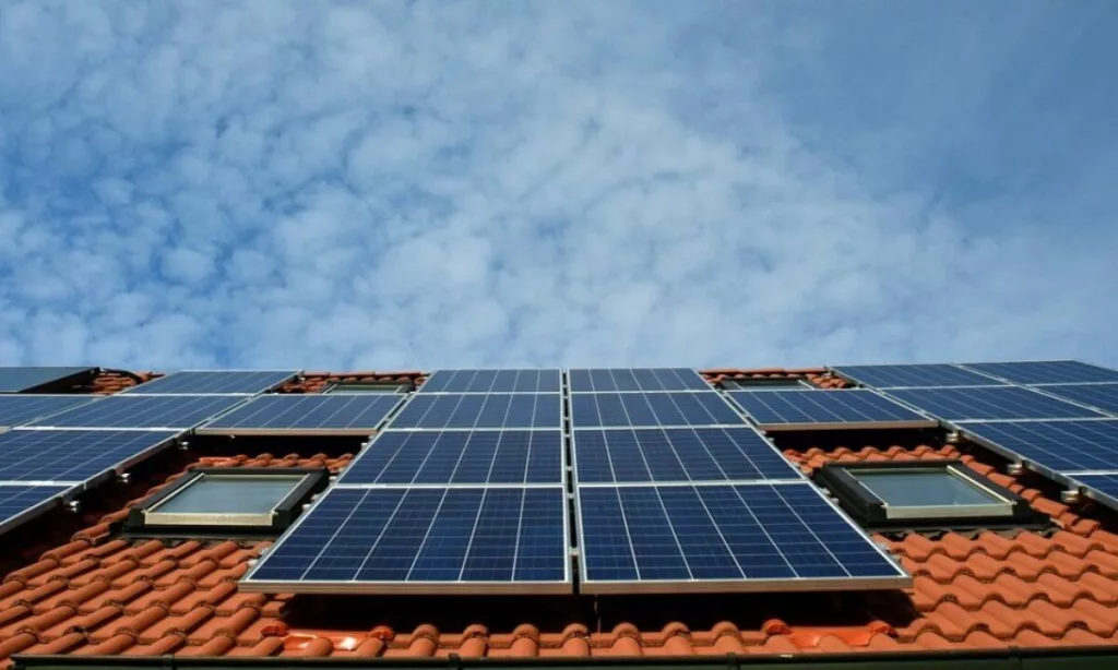 Economedia: Nepotul premierului Marcel Ciolacu solicită 110 milioane lei din PNRR pentru fotovoltaice