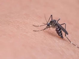 Un nou caz de infecție cu virusul West Nile